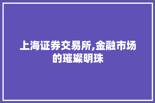上海证券交易所,金融市场的璀璨明珠 上海证券交易所,金融市场的璀璨明珠