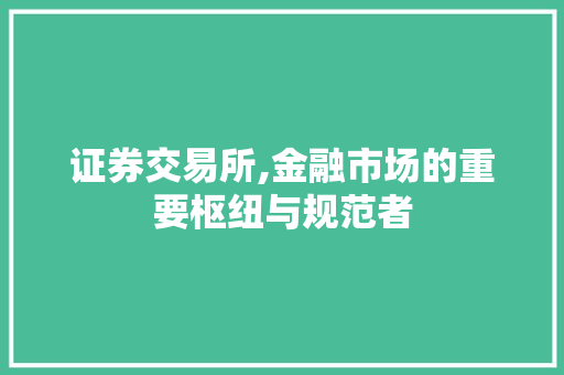 证券交易所,金融市场的重要枢纽与规范者 证券交易所,金融市场的重要枢纽与规范者