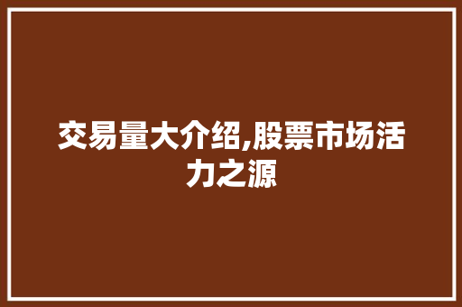 交易量大介绍,股票市场活力之源 交易量大介绍,股票市场活力之源