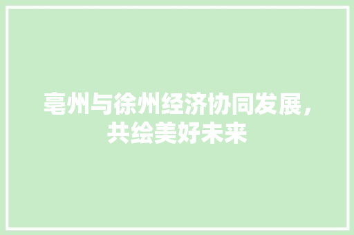 亳州与徐州经济协同发展,共绘美好未来 亳州与徐州经济协同发展,共绘美好未来