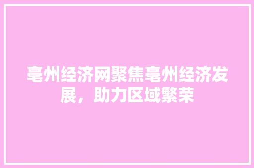 亳州经济网聚焦亳州经济发展,助力区域繁荣 亳州经济网聚焦亳州经济发展,助力区域繁荣