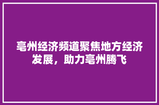 亳州经济频道聚焦地方经济发展,助力亳州腾飞 亳州经济频道聚焦地方经济发展,助力亳州腾飞