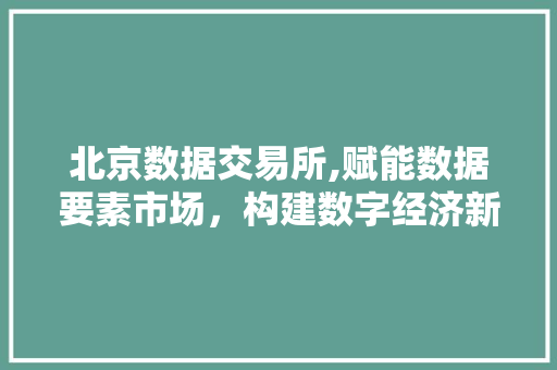 北京数据交易所,赋能数据要素市场，构建数字经济新生态