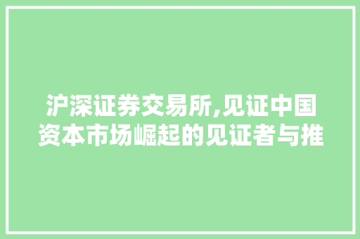 沪深证券交易所,见证中国资本市场崛起的见证者与推动者 沪深证券交易所,见证中国资本市场崛起的见证者与推动者