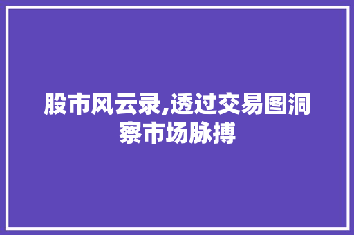 股市风云录,透过交易图洞察市场脉搏 股市风云录,透过交易图洞察市场脉搏