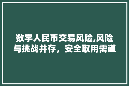 数字人民币交易风险,风险与挑战并存,安全取用需谨慎 数字人民币交易风险,风险与挑战并存,安全取用需谨慎