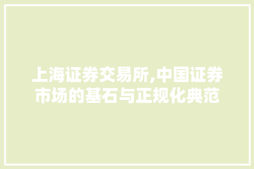 上海证券交易所,中国证券市场的基石与正规化典范 上海证券交易所,中国证券市场的基石与正规化典范