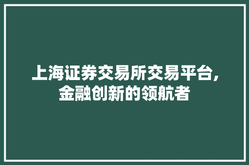 上海证券交易所交易平台,金融创新的领航者