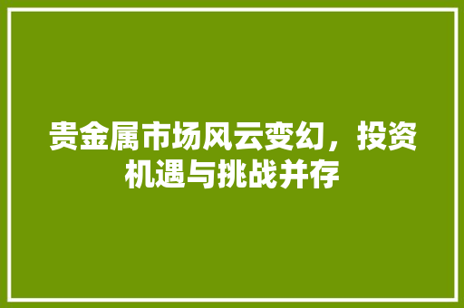 贵金属市场风云变幻,投资机遇与挑战并存 贵金属市场风云变幻,投资机遇与挑战并存