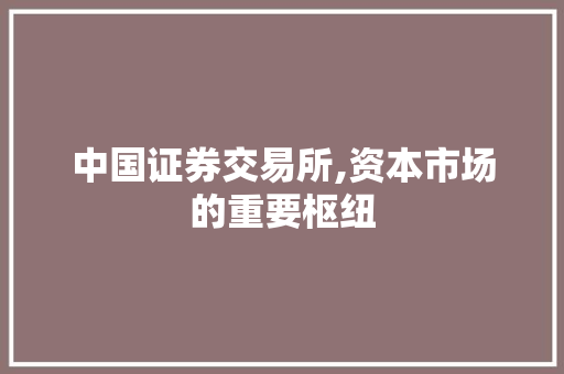中国证券交易所,资本市场的重要枢纽 中国证券交易所,资本市场的重要枢纽