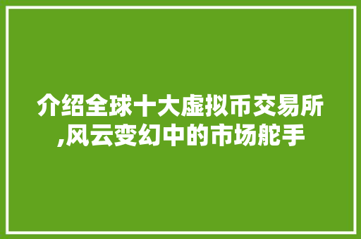 介绍全球十大虚拟币交易所,风云变幻中的市场舵手 介绍全球十大虚拟币交易所,风云变幻中的市场舵手