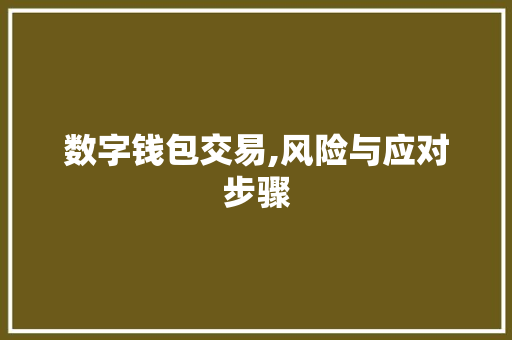 数字钱包交易,风险与应对步骤 数字钱包交易,风险与应对步骤
