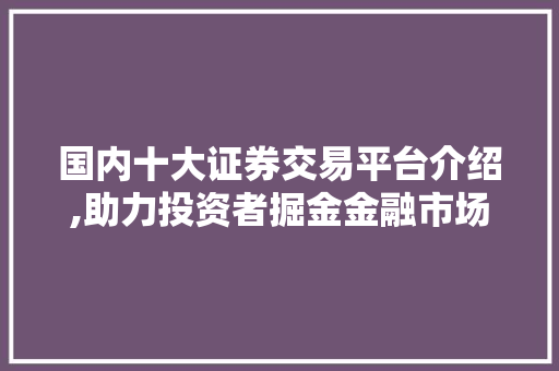 国内十大证券交易平台介绍,助力投资者掘金金融市场 国内十大证券交易平台介绍,助力投资者掘金金融市场