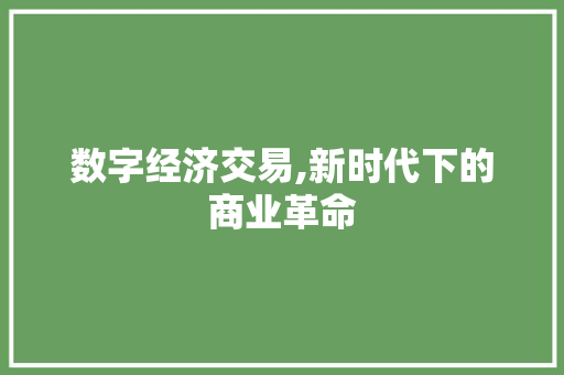 数字经济交易,新时代下的商业革命 数字经济交易,新时代下的商业革命