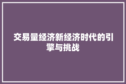 交易量经济新经济时代的引擎与挑战 交易量经济新经济时代的引擎与挑战
