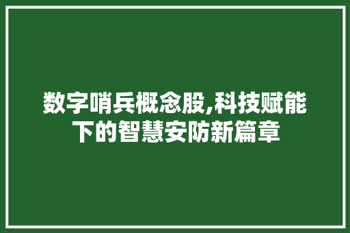 数字哨兵概念股,科技赋能下的智慧安防新篇章 数字哨兵概念股,科技赋能下的智慧安防新篇章