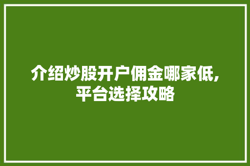 介绍炒股开户佣金哪家低,平台选择攻略