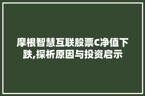 摩根智慧互联股票C净值下跌,探析原因与投资启示