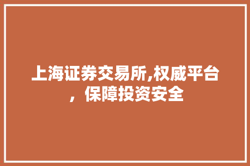 上海证券交易所,权威平台,保障投资安全 上海证券交易所,权威平台,保障投资安全