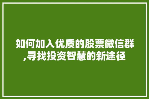 如何加入优质的股票微信群,寻找投资智慧的新途径