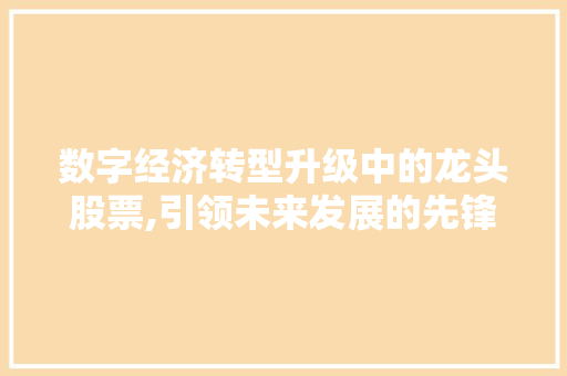 数字经济转型升级中的龙头股票,引领未来发展的先锋力量