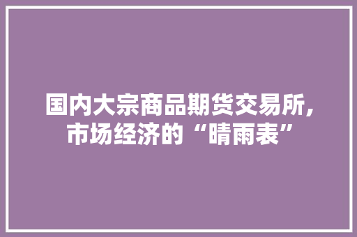国内大宗商品期货交易所,市场经济的“晴雨表” 国内大宗商品期货交易所,市场经济的“晴雨表”