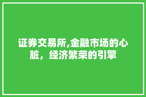 证券交易所,金融市场的心脏,经济繁荣的引擎 证券交易所,金融市场的心脏,经济繁荣的引擎