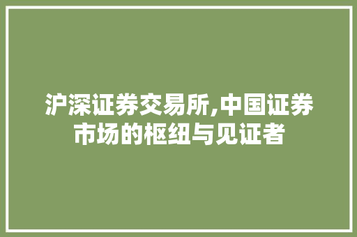 沪深证券交易所,中国证券市场的枢纽与见证者 沪深证券交易所,中国证券市场的枢纽与见证者