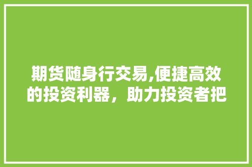 期货随身行交易,便捷高效的投资利器,助力投资者把握市场脉搏 期货随身行交易,便捷高效的投资利器,助力投资者把握市场脉搏