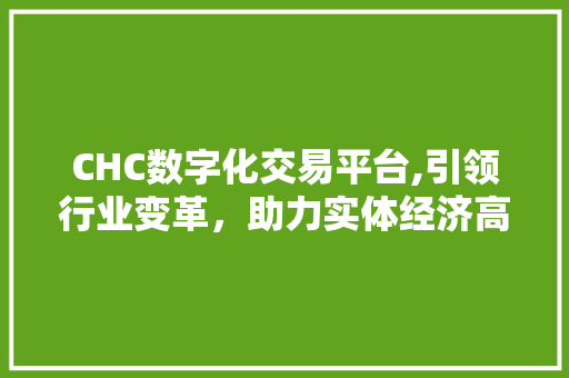 CHC数字化交易平台,引领行业变革,助力实体经济高质量发展 CHC数字化交易平台,引领行业变革,助力实体经济高质量发展