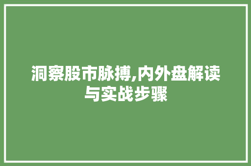 洞察股市脉搏,内外盘解读与实战步骤 洞察股市脉搏,内外盘解读与实战步骤