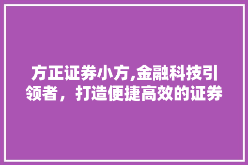 方正证券小方,金融科技引领者,打造便捷高效的证券交易新体验 方正证券小方,金融科技引领者,打造便捷高效的证券交易新体验