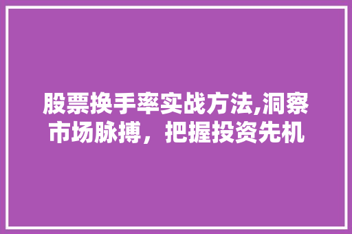 股票换手率实战方法,洞察市场脉搏，把握投资先机