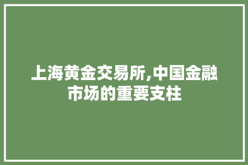 上海黄金交易所,中国金融市场的重要支柱 上海黄金交易所,中国金融市场的重要支柱