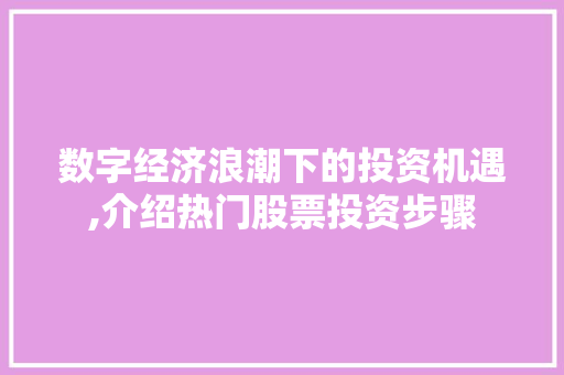 数字经济浪潮下的投资机遇,介绍热门股票投资步骤