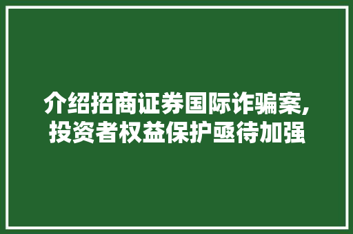 介绍招商证券国际诈骗案,投资者权益保护亟待加强