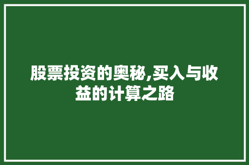 股票投资的奥秘,买入与收益的计算之路