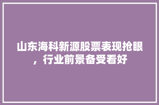 山东海科新源股票表现抢眼,行业前景备受看好