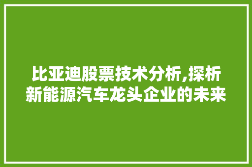 比亚迪股票技术分析,探析新能源汽车龙头企业的未来潜力 比亚迪股票技术分析,探析新能源汽车龙头企业的未来潜力