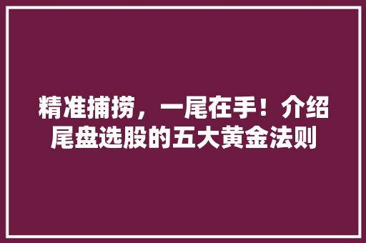 精准捕捞,一尾在手!介绍尾盘选股的五大黄金法则 精准捕捞,一尾在手!介绍尾盘选股的五大黄金法则