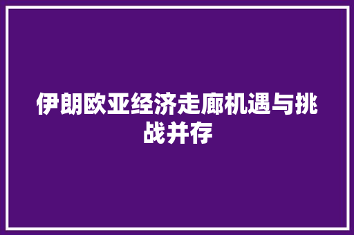 伊朗欧亚经济走廊机遇与挑战并存 伊朗欧亚经济走廊机遇与挑战并存