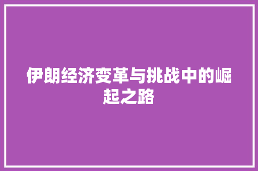 伊朗经济变革与挑战中的崛起之路 伊朗经济变革与挑战中的崛起之路