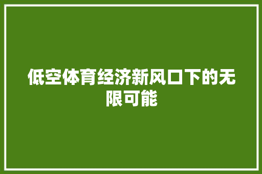 低空体育经济新风口下的无限可能 低空体育经济新风口下的无限可能