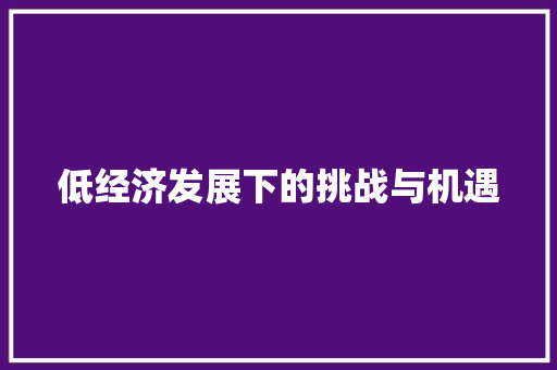 低经济发展下的挑战与机遇 低经济发展下的挑战与机遇