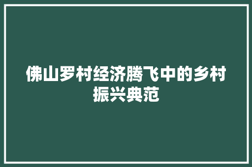 佛山罗村经济腾飞中的乡村振兴典范 佛山罗村经济腾飞中的乡村振兴典范