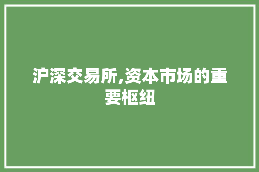 沪深交易所,资本市场的重要枢纽 沪深交易所,资本市场的重要枢纽