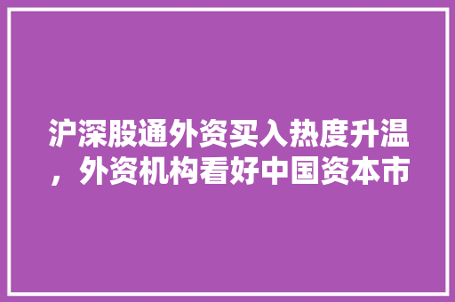 沪深股通外资买入热度升温,外资机构看好中国资本市场未来 沪深股通外资买入热度升温,外资机构看好中国资本市场未来