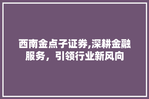 西南金点子证券,深耕金融服务，引领行业新风向