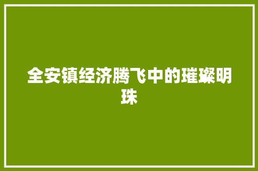 全安镇经济腾飞中的璀璨明珠 全安镇经济腾飞中的璀璨明珠