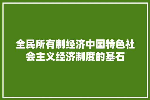 全民所有制经济中国特色社会主义经济制度的基石 全民所有制经济中国特色社会主义经济制度的基石